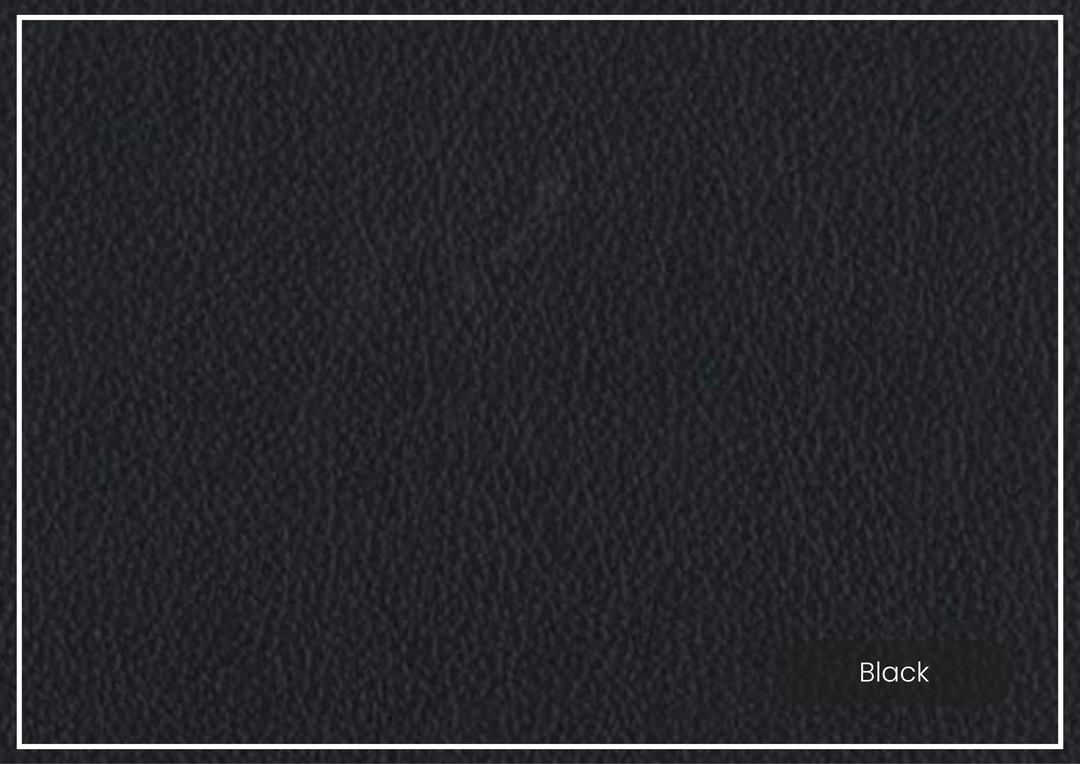 Hydeline Camano Leather Sofa With Nail-Head Finish