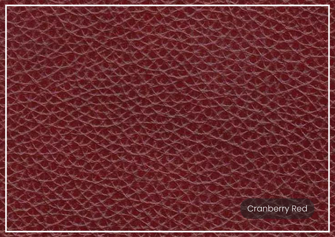 Hydeline Camano Leather Sofa With Nail-Head Finish
