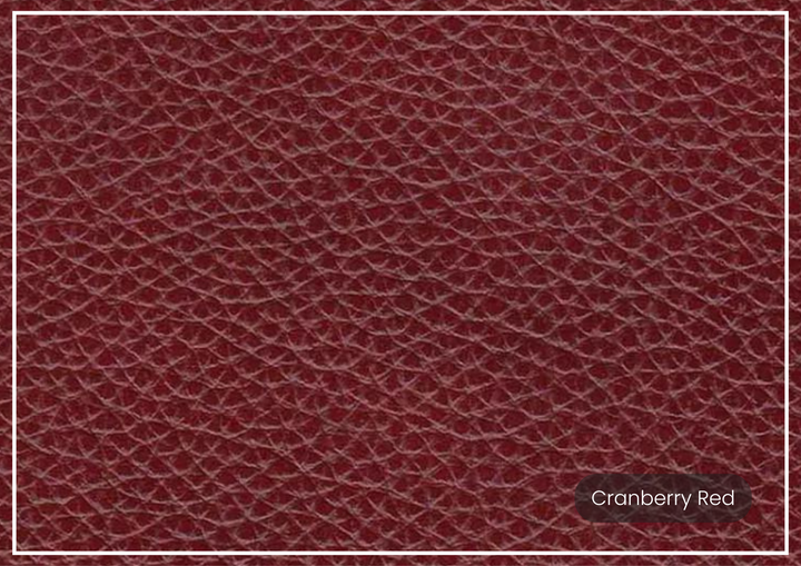 Hydeline Camano Leather Sofa With Nail-Head Finish
