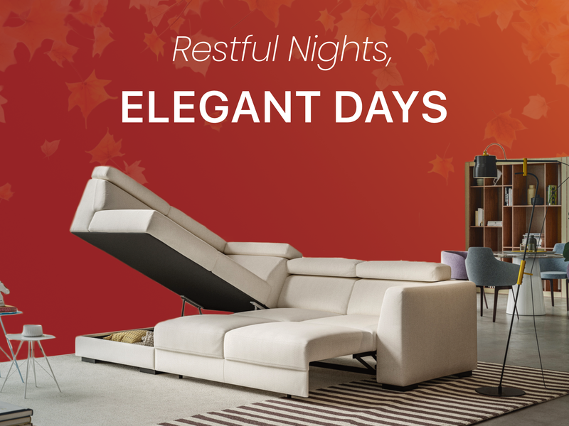 Sectional Sleeper Sofa Sets