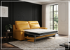 Delano Queen Sleeper Sofa | Leather | Padded Arms | Klaussner