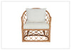 Miramar Fabric Accent Chair | Rattan Frame | Universal Furniture