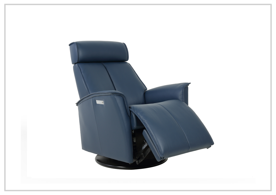 Fjords Venice Power Swing Relaxer Chair in Leather (Small/Large)