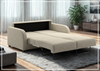 Aspen Fabric Sleeper Sofa-Jennihome