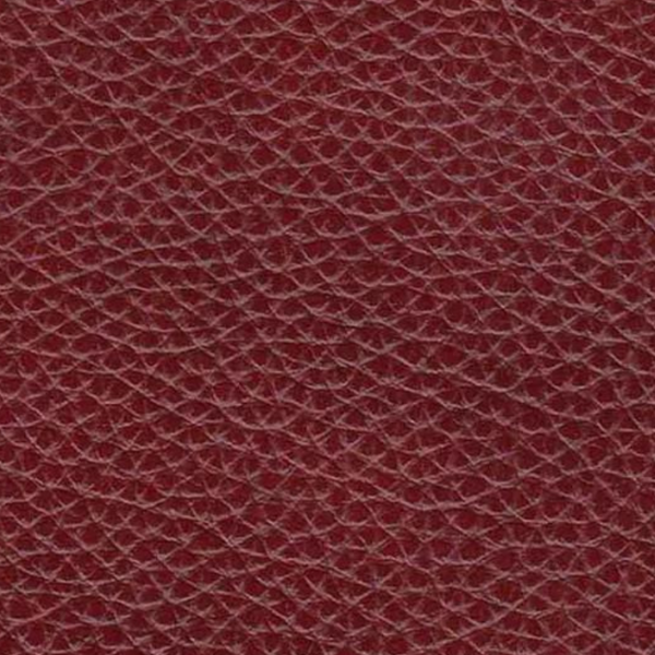 Hydeline Camano Leather Sofa With Nail-Head Finish