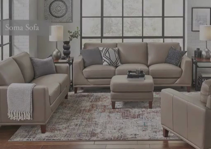 Hydeline Soma Leather Brown Loveseat Sofa